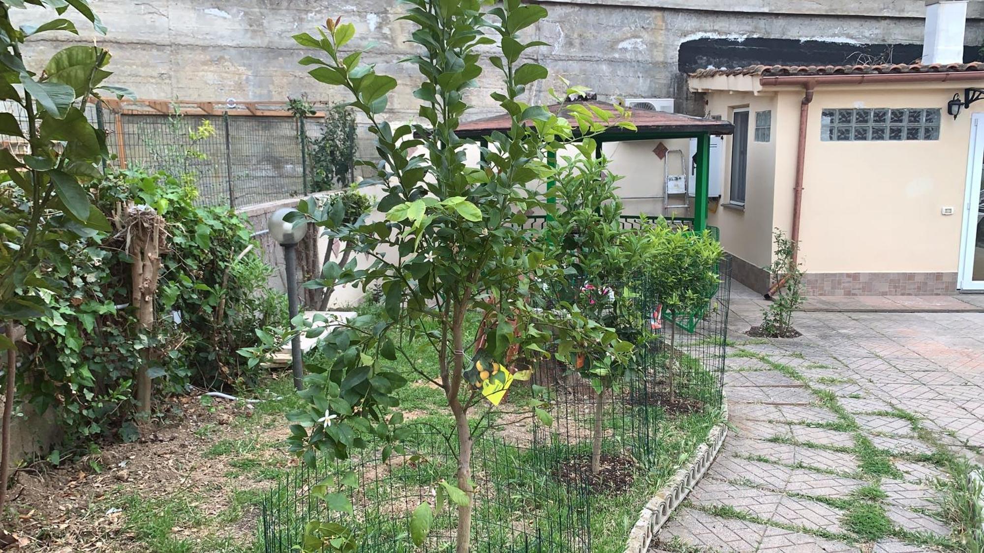 B&B Civitavecchia La Casetta Con Giardino Экстерьер фото