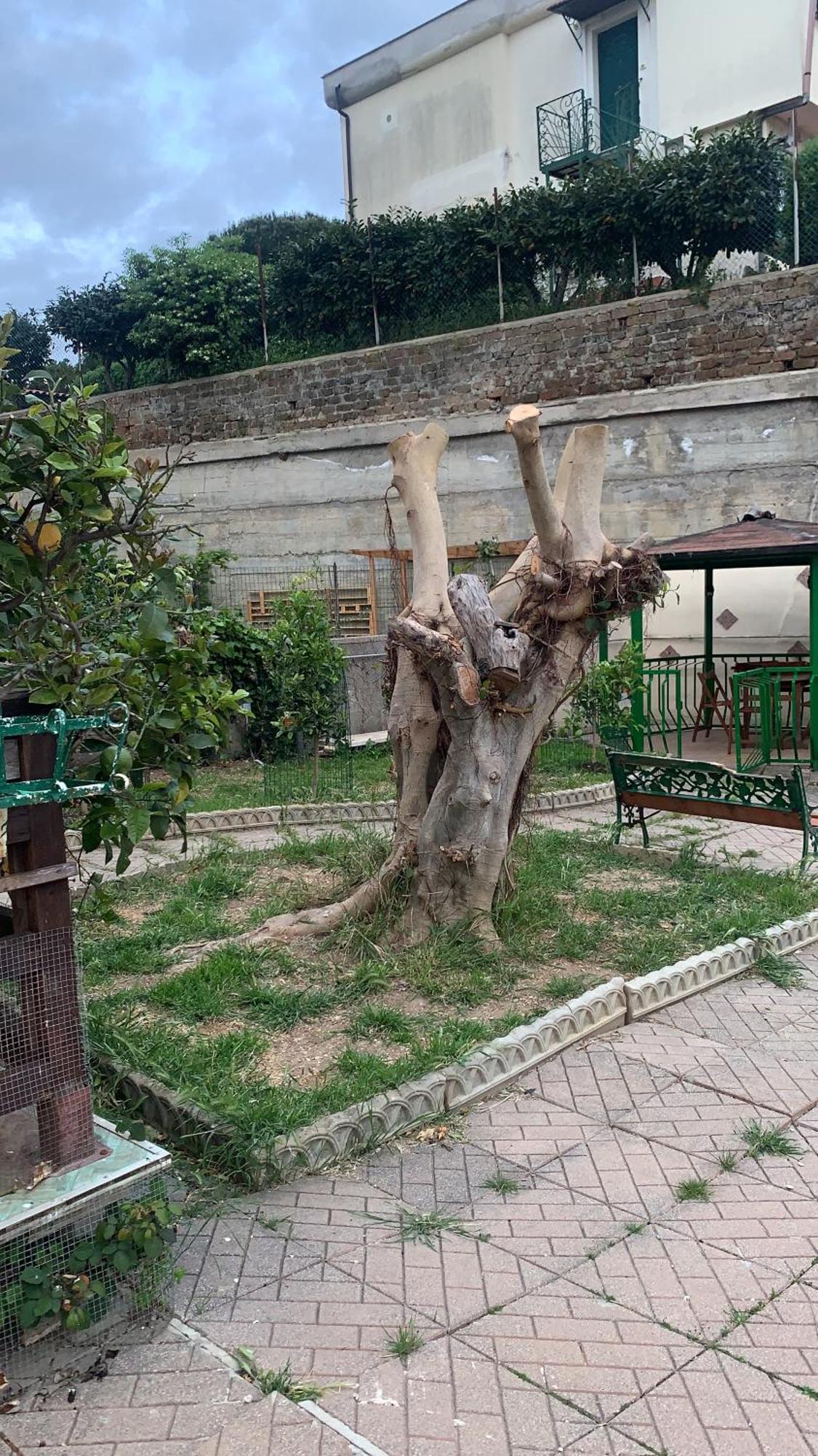 B&B Civitavecchia La Casetta Con Giardino Экстерьер фото