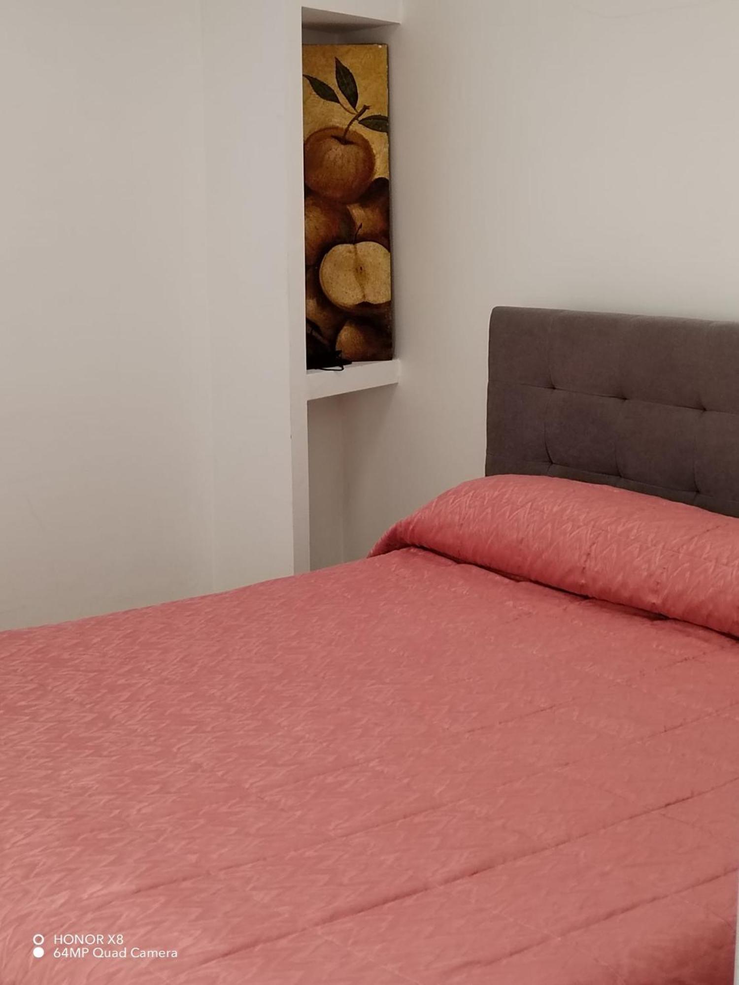 B&B Civitavecchia La Casetta Con Giardino Экстерьер фото